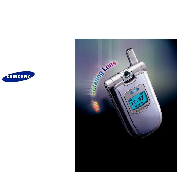 Samsung SGH-P100 Manual del usuario