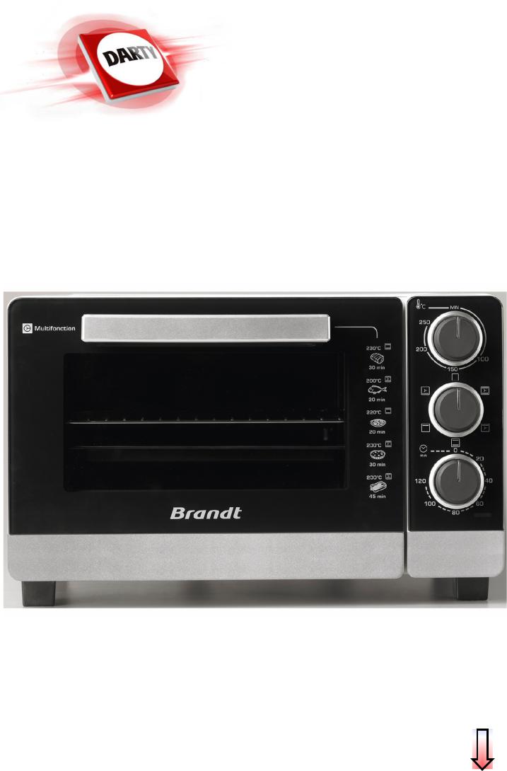 Brandt FC217MS User Manual