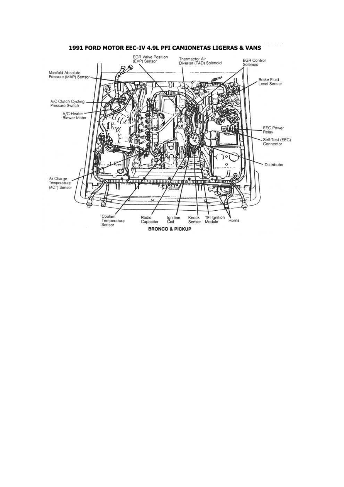 AUTOMECANICO Ranger 5-8 esqford499 Diagram