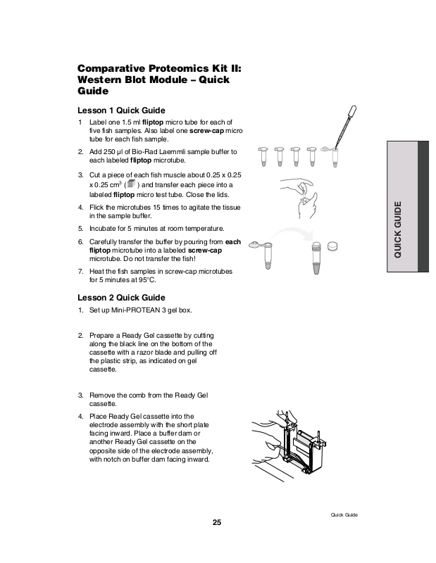 Bio-Rad Comparative Proteomics Kit II Western Blot Module User Manual