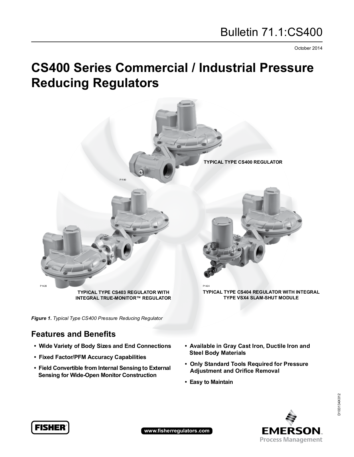 Emerson CS400 Data Sheet