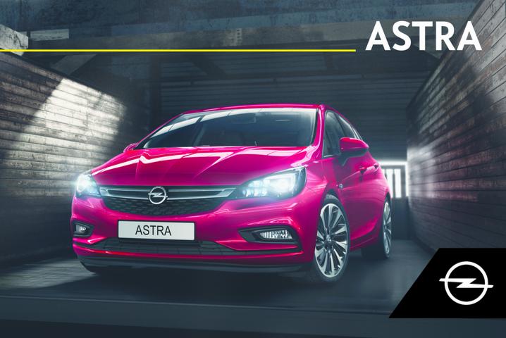 Opel New Astra     2019 Owner's Manual