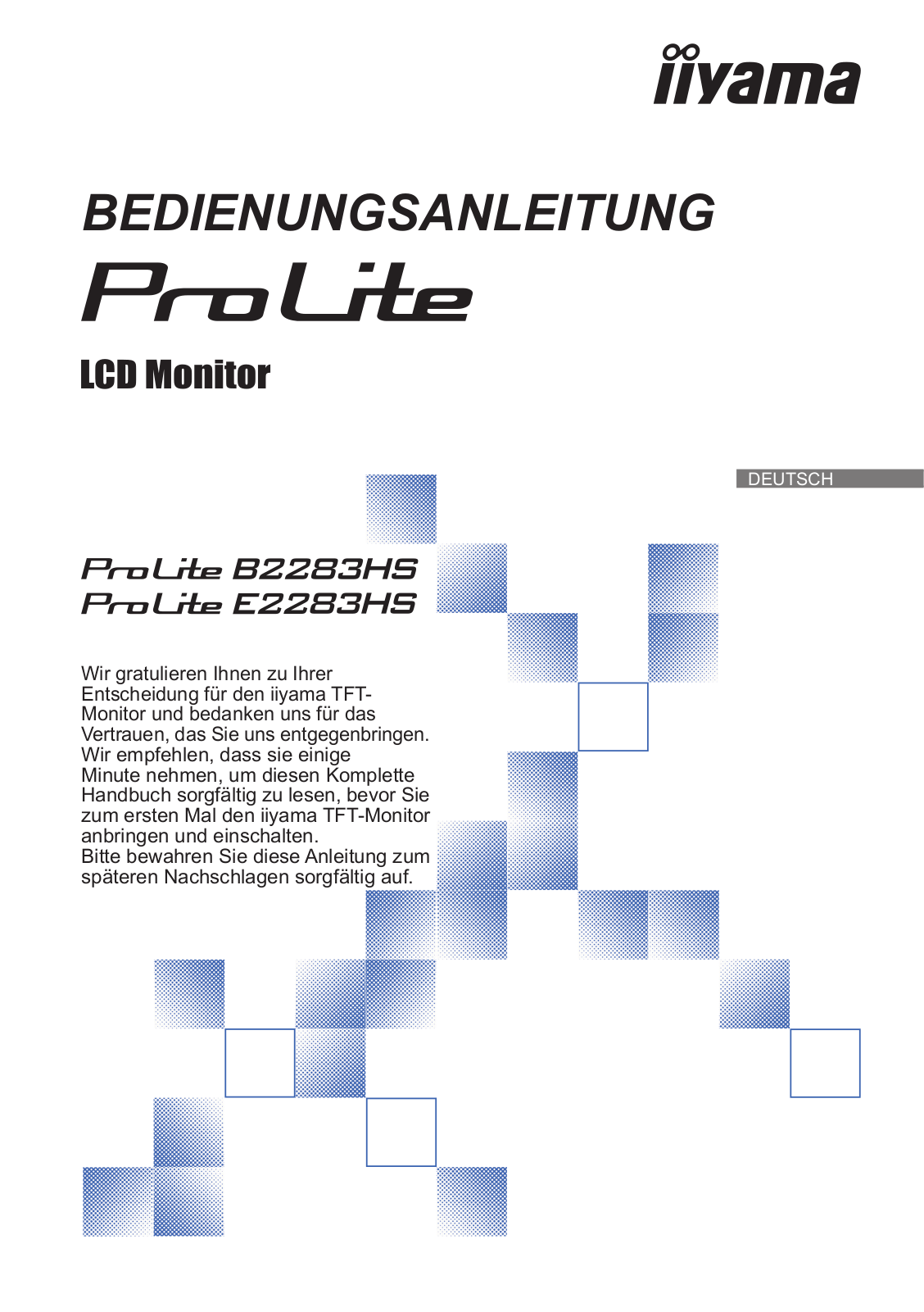 iiyama ProLite E2283HS-B5 User Manual