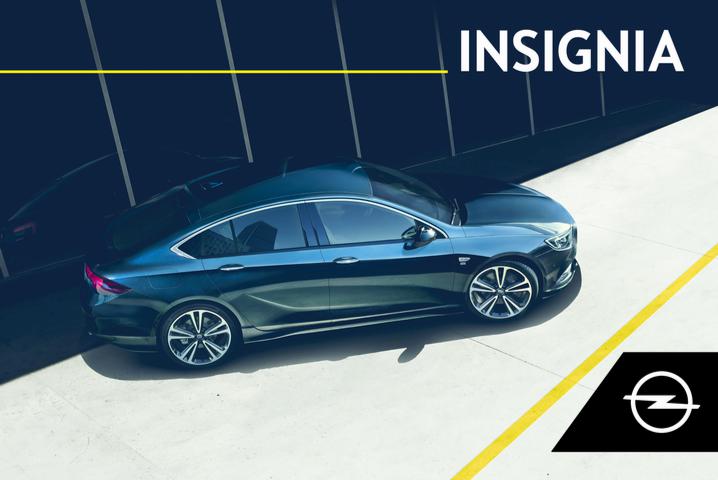 Opel Insignia      2019 Owner's Manual