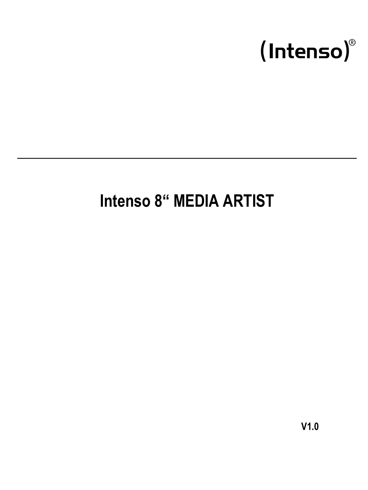 Intenso Media Artist User Manual