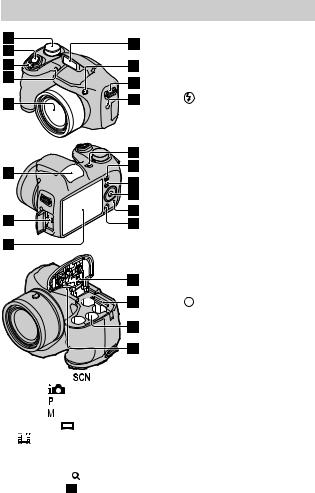 Sony DSC-H200 User Manual