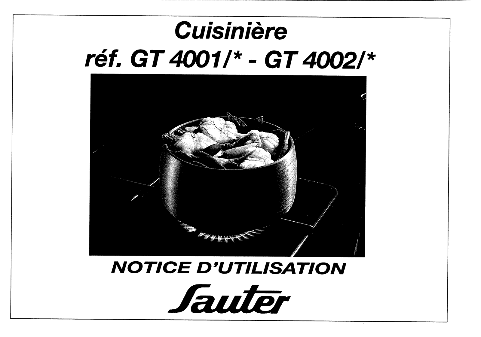 Sauter GT4002, GT4001 User Manual