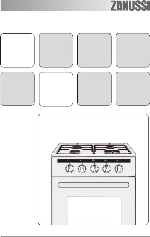 Zanussi ZCG55RGW User Manual