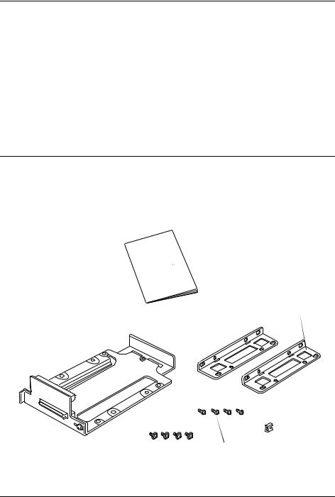 Epson OI-R02 User's Manual