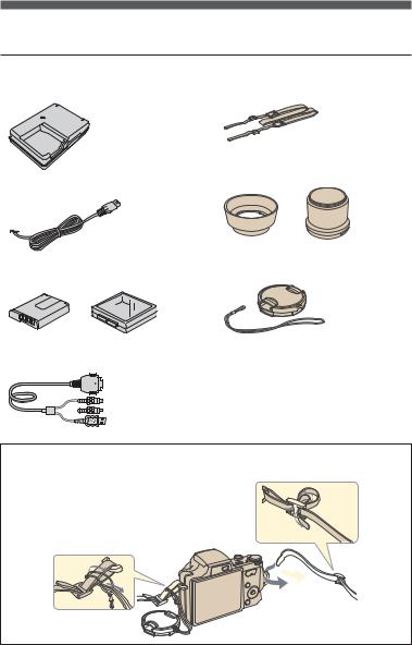 Sony CYBER-SHOT DSC-H10 User Manual