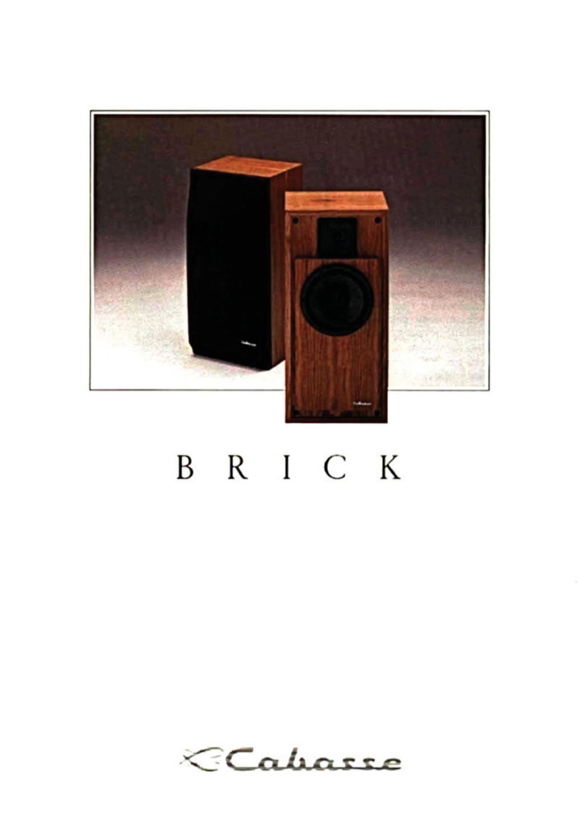 Cabasse 235 BRICK User guide - ManualMachine.com