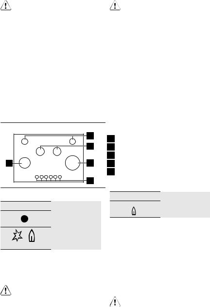 AEG EGG9363 User Manual