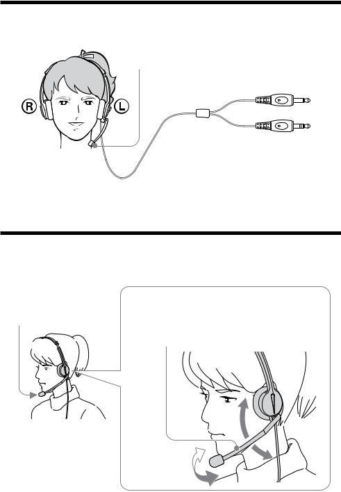 Sony DR-210DP User Manual