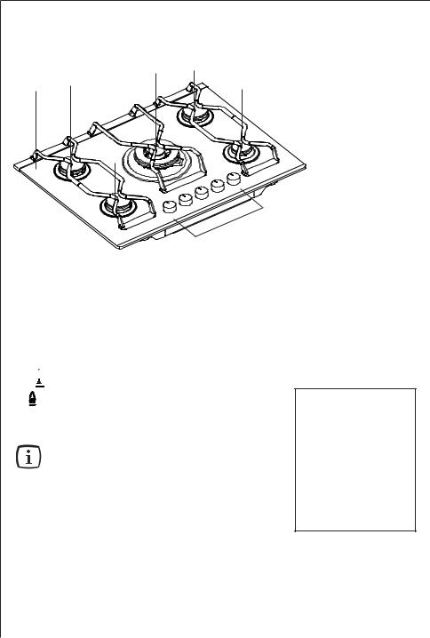 AEG 79553G-M User Manual