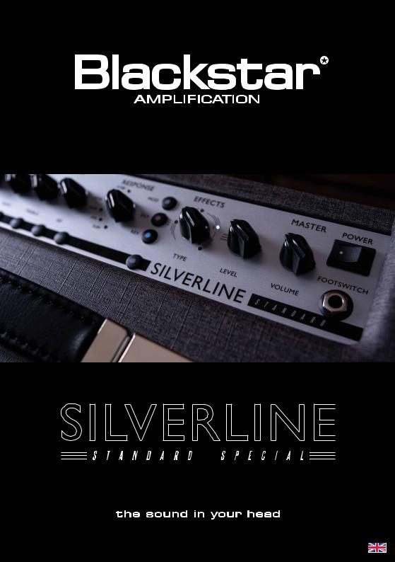 Blackstar Silverline Standard operation manual