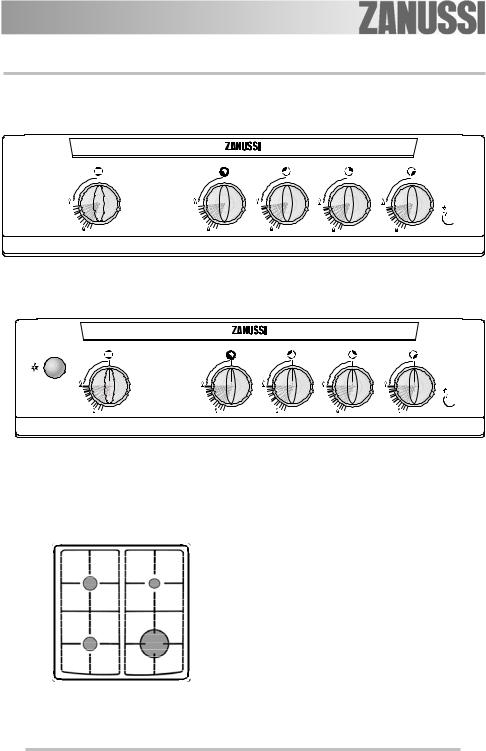 Zanussi ZCG550GW2, ZCG550GW1 User Manual