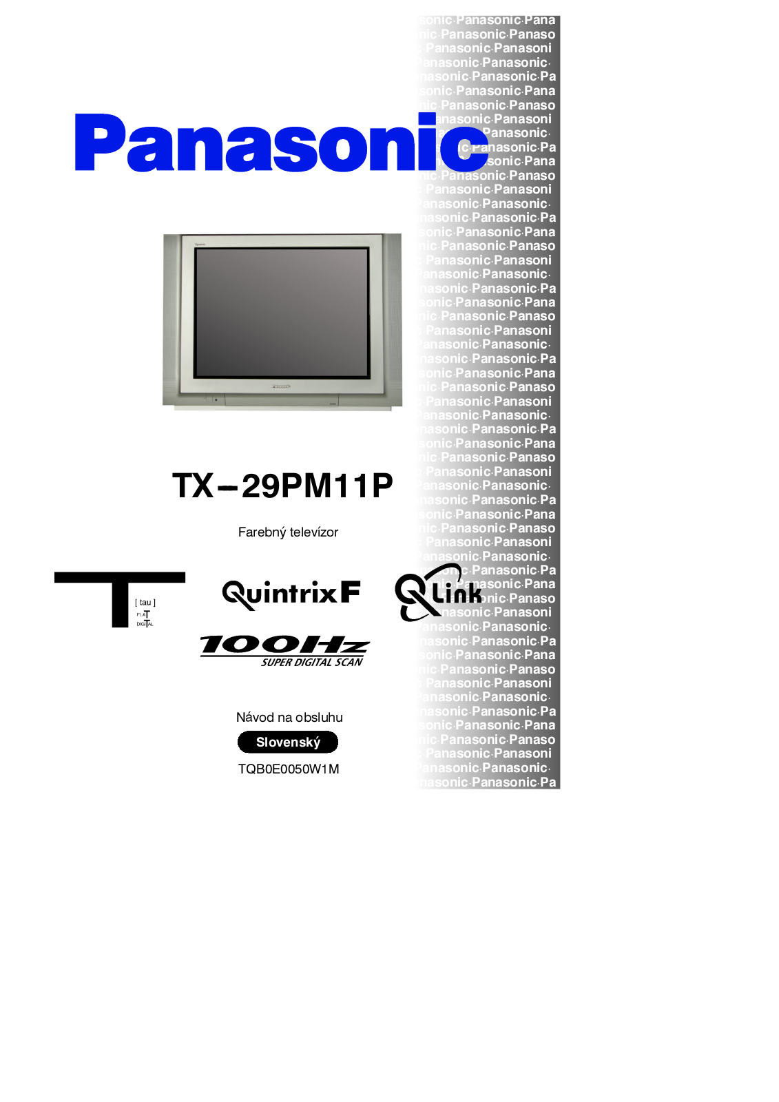 PANASONIC TX-29PM11P User Manual