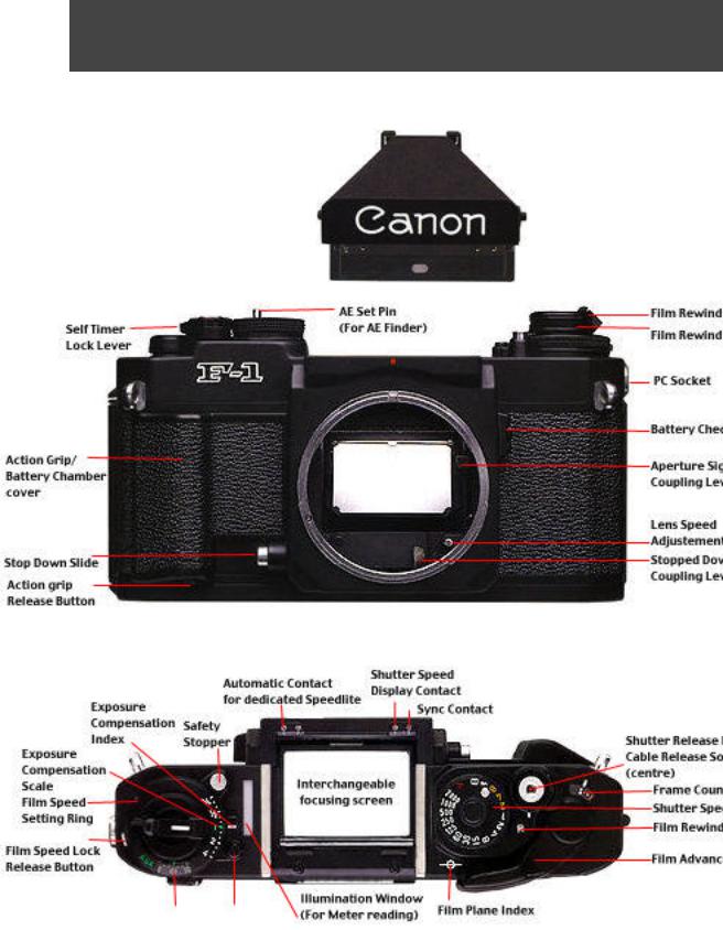 Canon F1-N User Manual