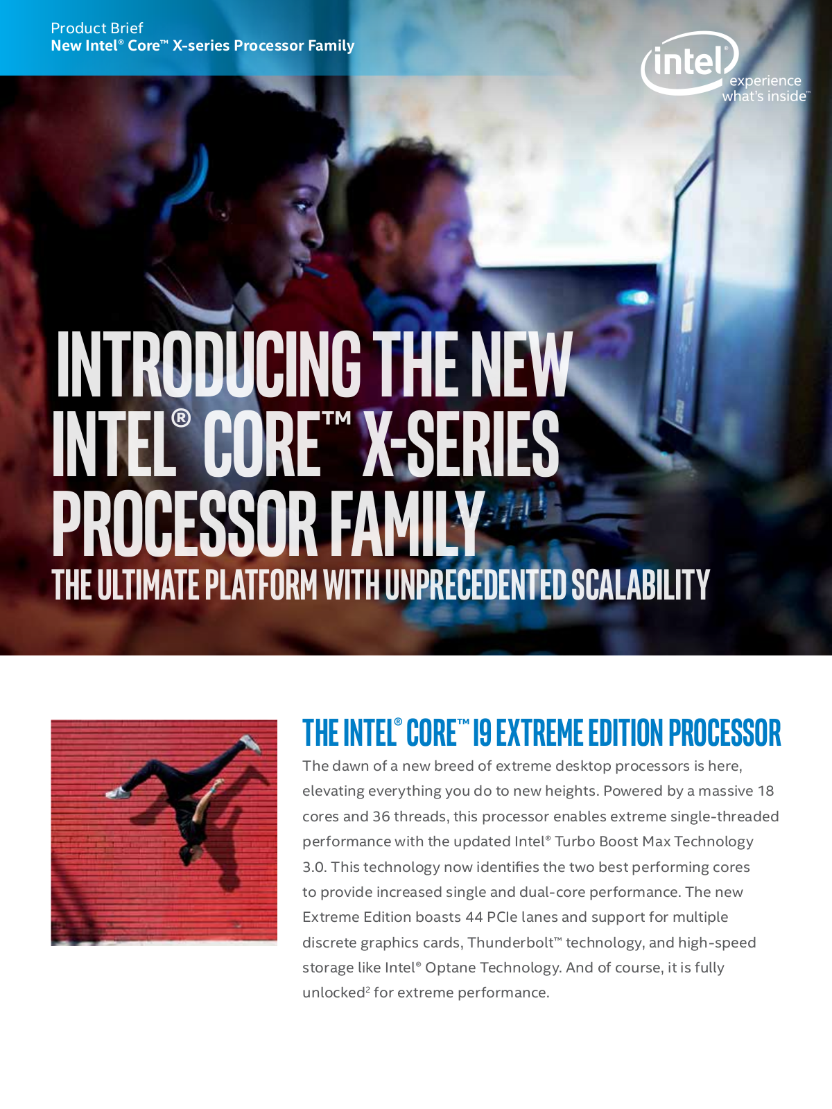 Intel i9-7900X User Manual