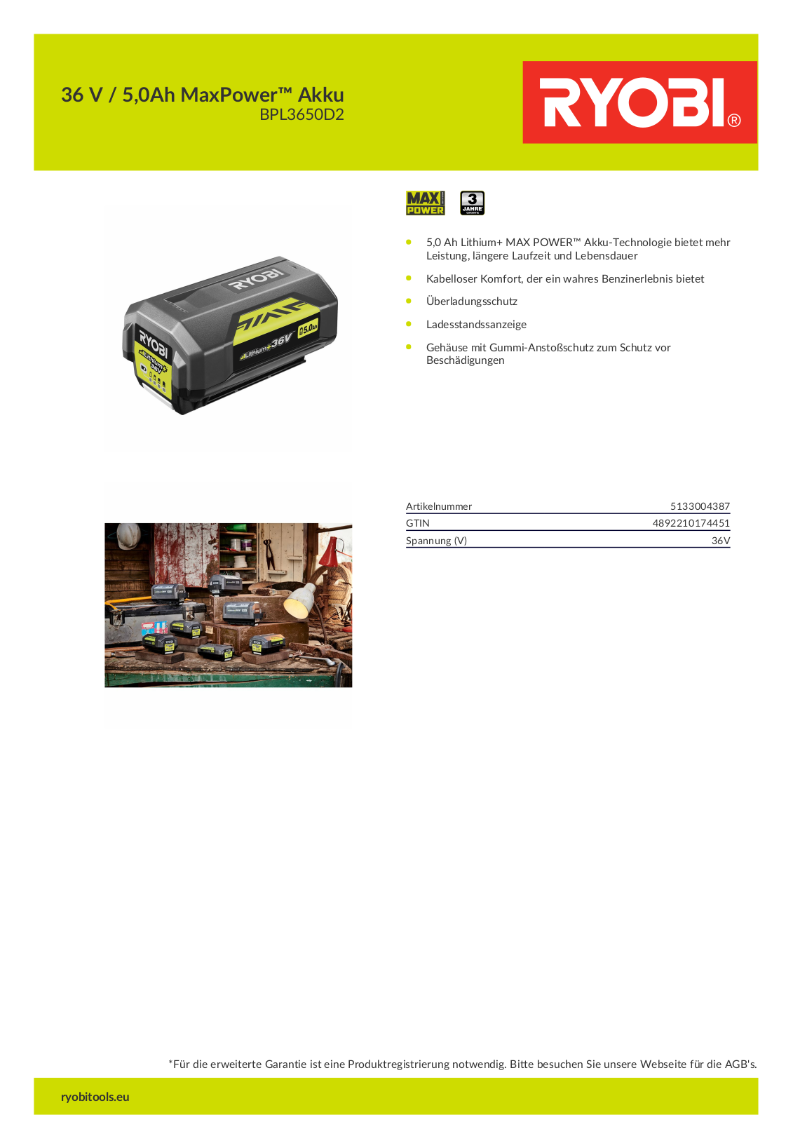 Ryobi BPL3650D2 User Manual