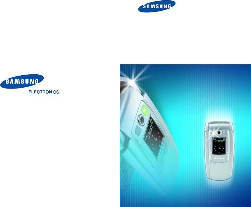 Samsung SGH-E710 User Manual