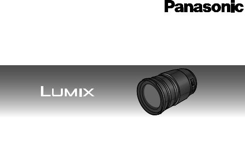 Panasonic HFS100300 User Manual