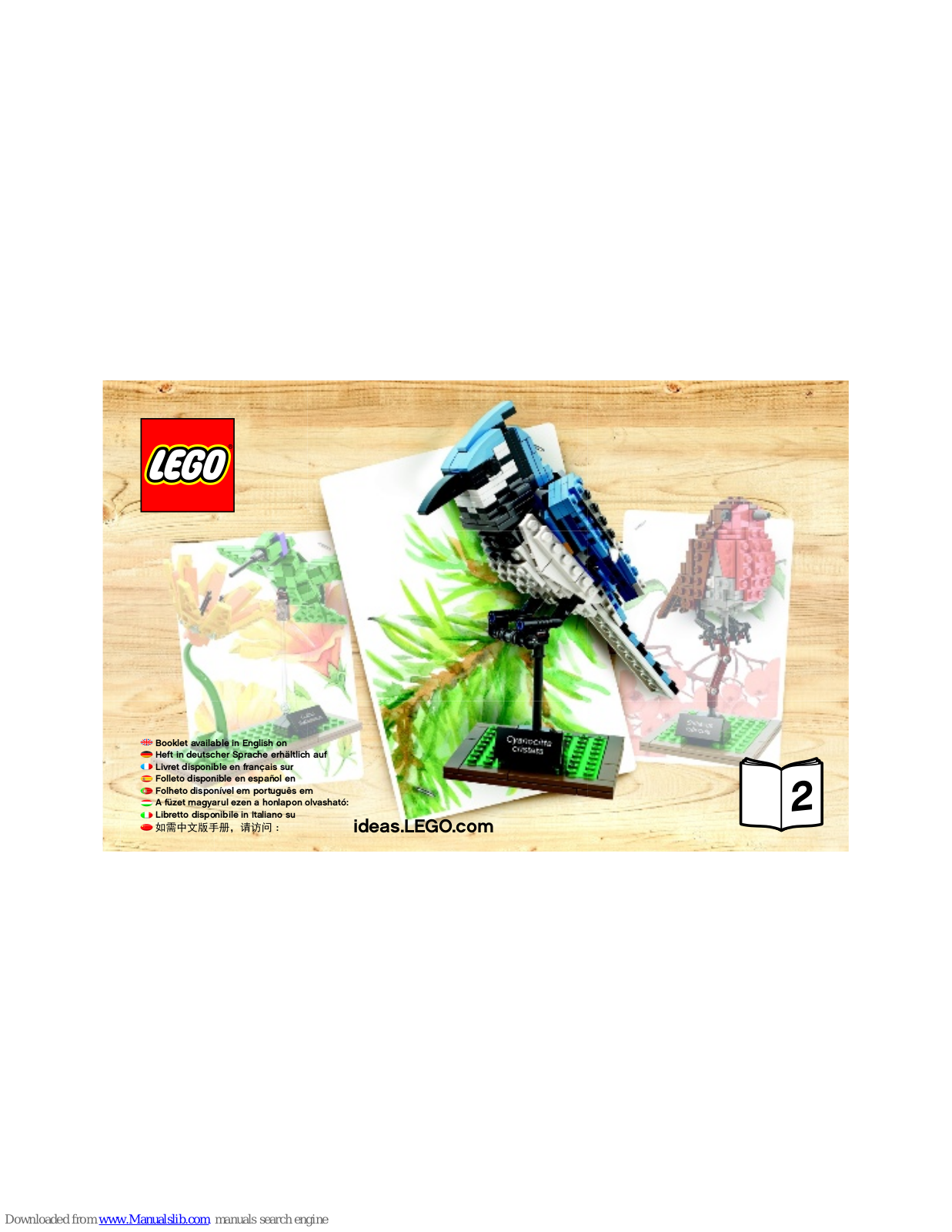 LEGO Blue jay 6127446 Building Instructions