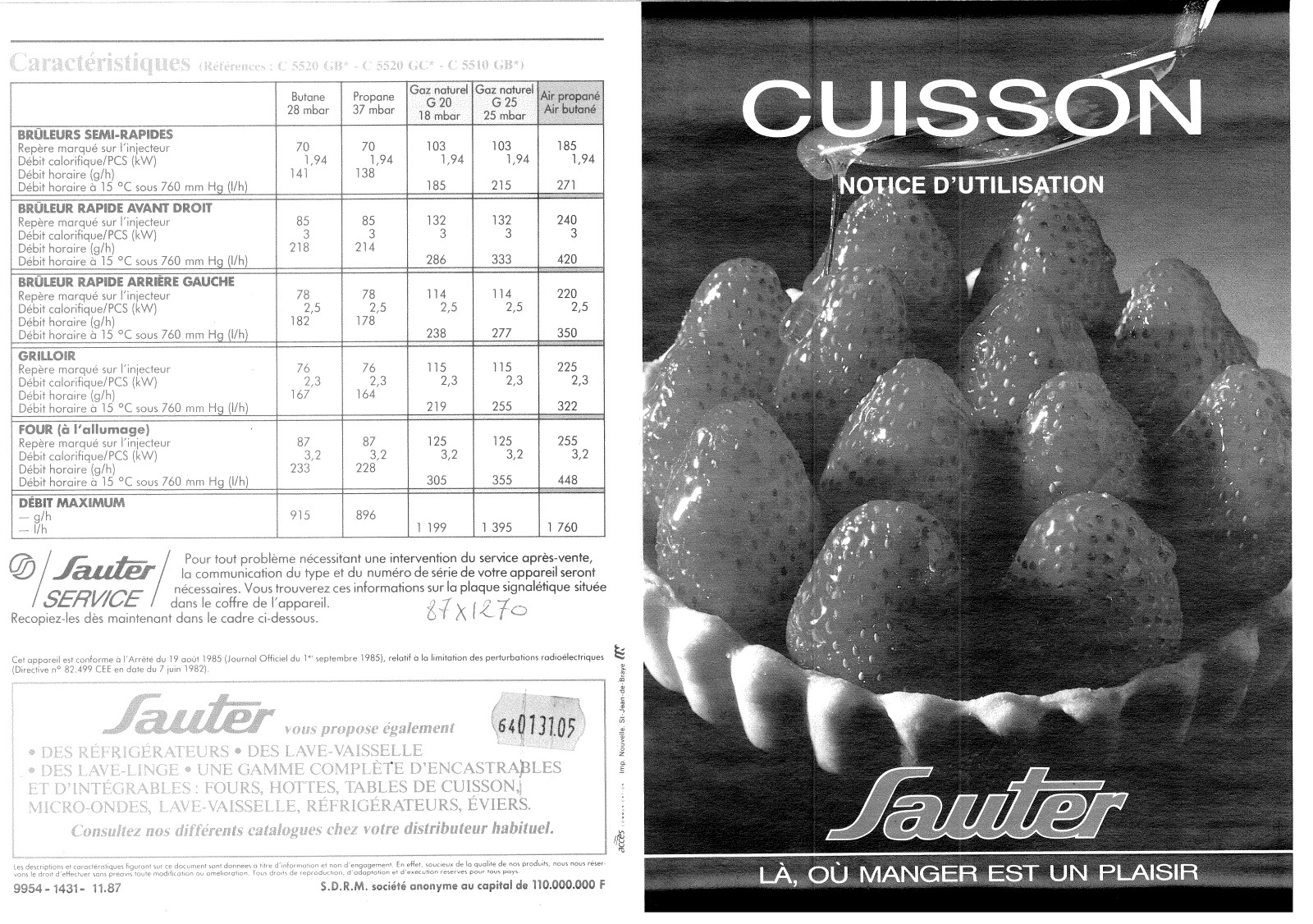 SAUTER C5520GB1, C5520GCN User Manual