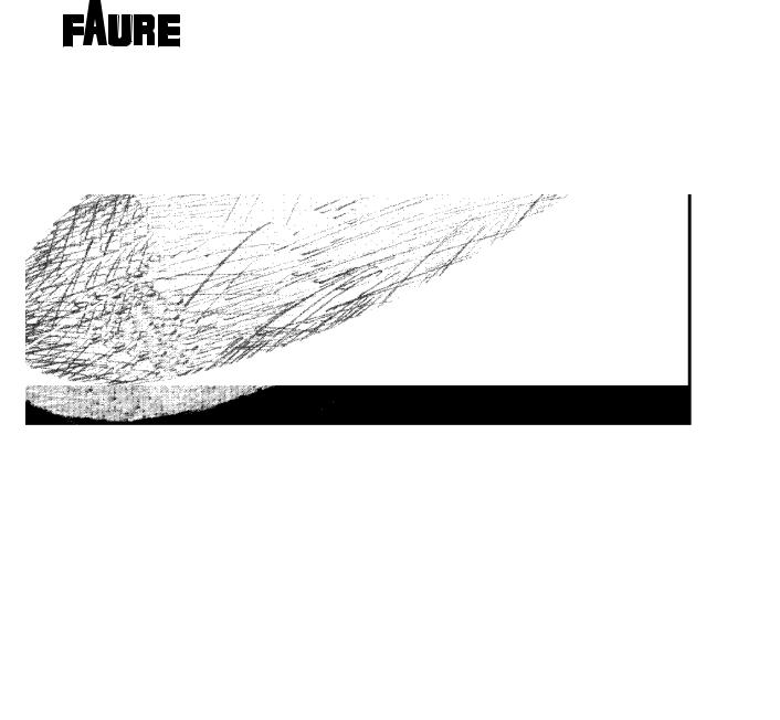 FAURE FWF3135 User Manual