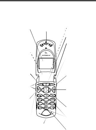 Motorola T56DN1 Users manual