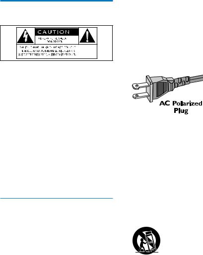 Philips AEA7100MIC User Manual